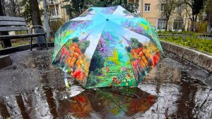 Ольга Лифшиц - "Лужи из бензина" (Москва. Щукино.)