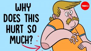 Почему удар по "смешной кости" так ужасно болит?