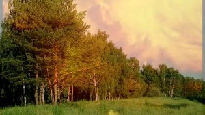 Українські народні пісні. Горіла сосна палала