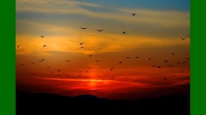 Sounds of nature. Звуки природы для релаксации сна и медитации
