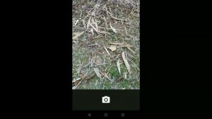 How To Download And Install Google Camera App In Tenor Mobile 10.G/E/D/2