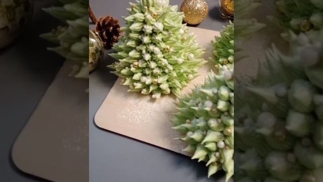 Ёлочки зефиросендвичи