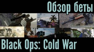 Обзор Black Ops: Cold War