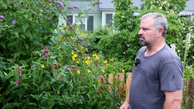 My Favorite Space in the Front Garden - P8 смотреть онлайн