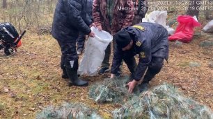 Сотрудники рыбоохраны по СПб и ЛО пресекли незаконную добычу водных биоресурсов в районе п. Леднево