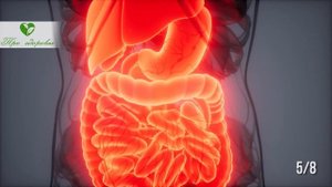 79% людей такого о гранатовых корках и не слышали! Как принимать гранатовые корки и в чём польза