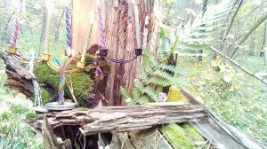 крысиная порча,чистка от крадника,сглаза,черной зависти ,нападений