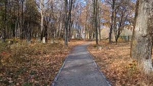 А за окнами октябрь!