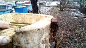 Колода для пчел