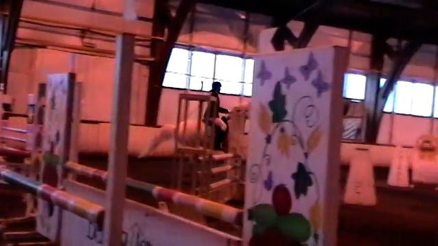 Конкур Хованская Ирина смотреть онлайн