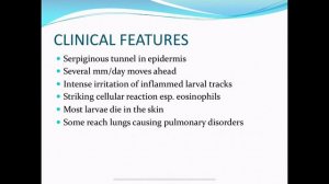 Nematodes 9 Larva migrans