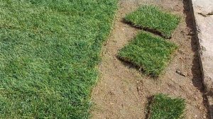 Подготовка основания и укладка рулонного газона