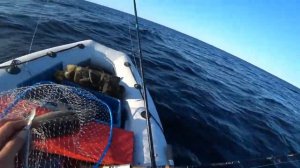 Воблер Bandit  Walleye. Воблеры для ловли судака.троллингом.