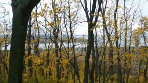 Гора Светёлка! Волжский Утёс, Самарская область