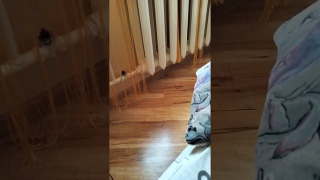 нашел старый телефон смотреть онлайн