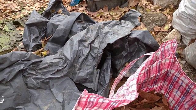 Кое-что о квантовости. Не кантовать! Лайт-версия кота Шредингера. смотреть онлайн