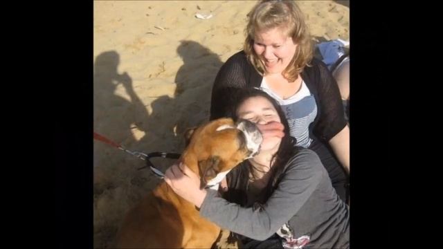 Подборка Топ 33 фото из интернета в стиле ПОКАЗАЛОСЬ смотреть онлайн