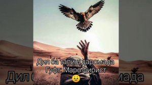 ЗОДРУЗ  МУБОРАК