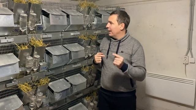 РЕНТАБЕЛЬНОСТЬ ШИНШИЛЛОВОЙ ФЕРМЫ || ИСПОЛЬЗУЙ СВОИ ЦИФРЫ || ФЕРМА ШИНШИЛЛ