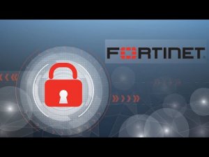 Защищённый SD WAN и архитектура SD Branch от компании Fortinet