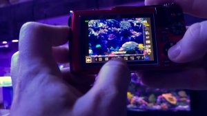 Olympus TG-6 Coral Videography