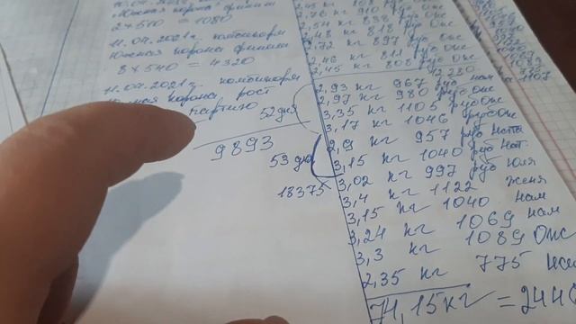 Выгодно ли содержать бройлеров? Жизнь в деревне.