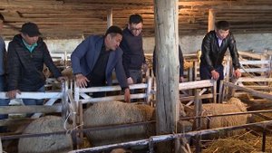 В центре внимания. Племзавод "Улан Хееч" 19 04 2022