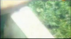 Энциклопедия   Карл Великий