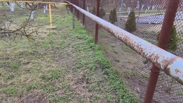 39ч?Из Сибири на Юг/Побелка деревьев/Ответы на комментарии #купилидомнаюге #переезднаюг