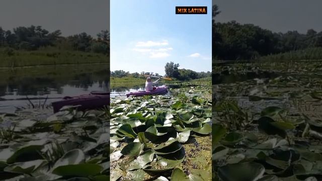 Как живут в Украине сейчас. Выходной день. Танцы.