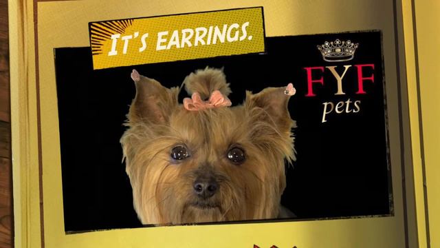 Pets смотреть онлайн