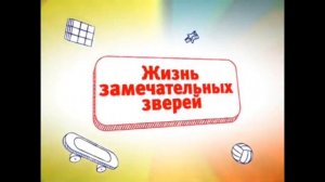 карусель хромакей анонса жизнь замечательных зверей (2011-2012)