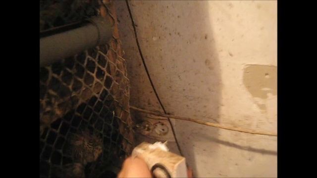 световой день перепелов смотреть онлайн