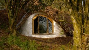 Дома для настоящих фанатов Хоббита