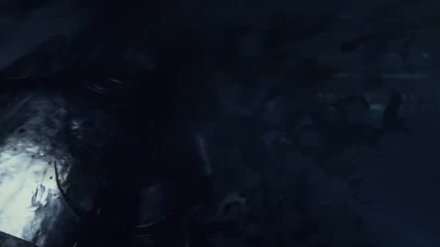 Neverwinter: Ravenloft – Cinematic Launch Trailer | PS4 смотреть онлайн