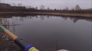 Рыбалка на ЖИВЦА в НОЯБРЕ