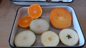 Биология. 7 класс. Особенности строения и разнообразия плодов