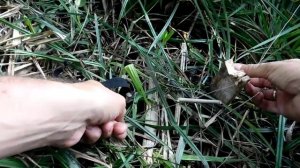 ЛОВУШКА НА КАРПА С ПОДСЕКАТЕЛЕМ СВОИМИ РУКАМИ. Уловистая снасть на карпа
