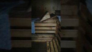 Иванов бор дом с баней пмж Кирилловский район дача на Волге #rimrealty