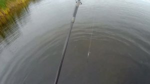 Тест камеры. Рыбалка в Ленинской пойме. Сентябрь 2018