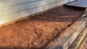 Мульчирование Сосновой Корой, Отсыпка для Клумбы у Гаража | DIY Своими Руками