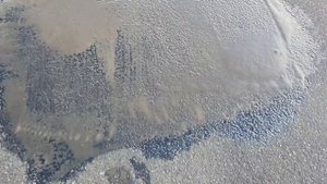 Очистка асфальта от пролива масла