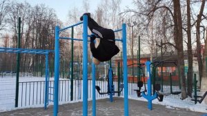 БАЗА и БАЗОВЫЕ УПРАЖНЕНИЯ в ВОРКАУТЕ | не Workout