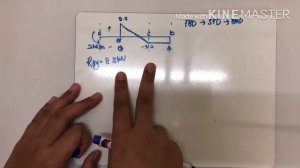 Quiz SFD BMD REVISION