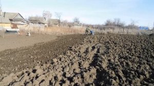 Боронование Мотоблоком МТЗ-06.