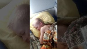 Попугай Гоша будит с утра