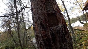 ЗАБРОШЕННАЯ УСАДЬБА ГРАФА КЕЛЛЕРА в Сенницах | КИДАЕМ МАГНИТ в барские пруды | НАШЛИ ПОРТРЕТ ГРАФИН