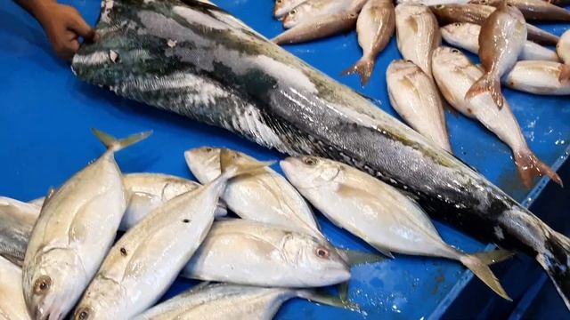 Берувела-2022 Ресторан Elephant цены Прогулялись к Рыбному рынку "Maradana Fish Market" Фото.
