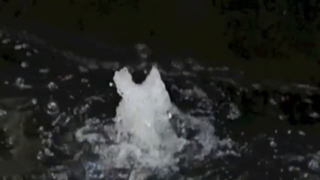 Nikon 1 v1 - Slow Motion смотреть онлайн