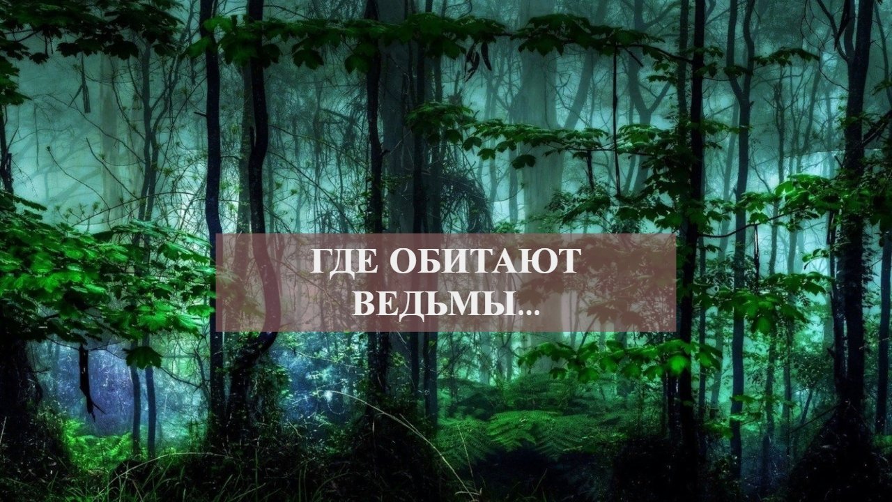 ГДЕ ОБИТАЮТ ВЕДЬМЫ...